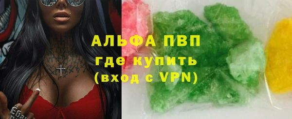 дживик Корсаков
